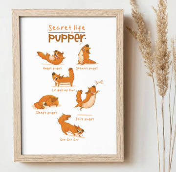 Why Playful Design Matters (Even for Everyday Products)