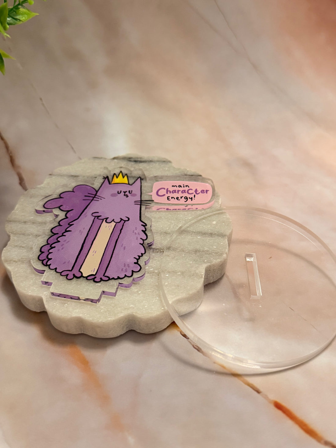 Sassy MVP Cat Desk Buddy